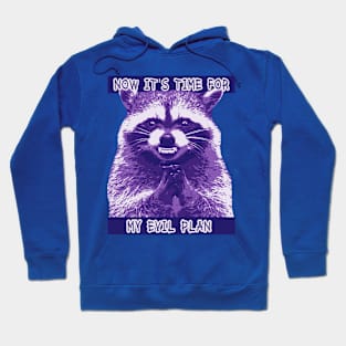 Raccoon Evil Plan Hoodie